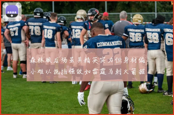 森林狼后场虽具精英实力但身材偏小难以抵挡强敌如雷霆马刺火箭掘金