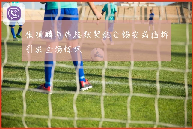 张镇麟与弗格默契配合锡安式挡拆引发全场惊叹