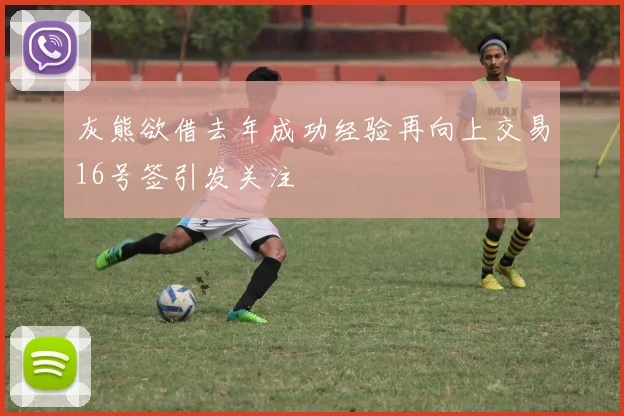 灰熊欲借去年成功经验再向上交易16号签引发关注