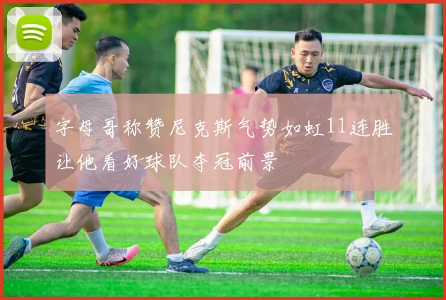字母哥称赞尼克斯气势如虹11连胜让他看好球队夺冠前景